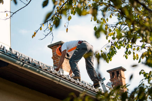 Best Roof Waterproofing Services  in East Dundee, IL